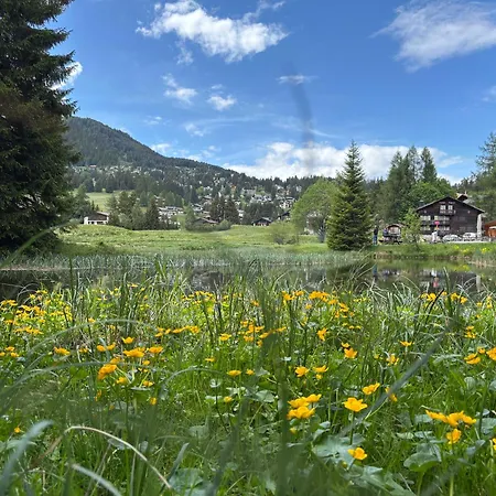 Minutes From Lenzerheide